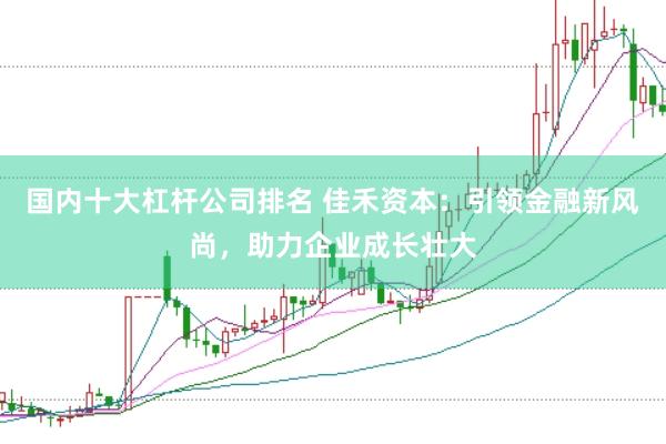 国内十大杠杆公司排名 佳禾资本：引领金融新风尚，助力企业成长壮大