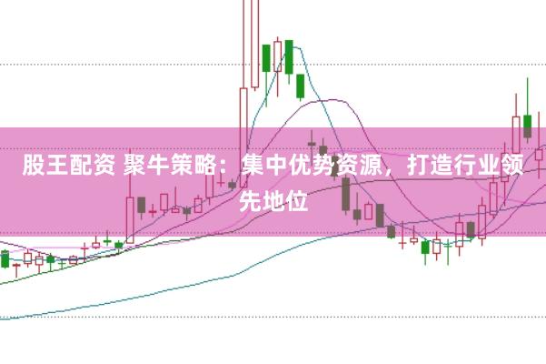 股王配资 聚牛策略：集中优势资源，打造行业领先地位