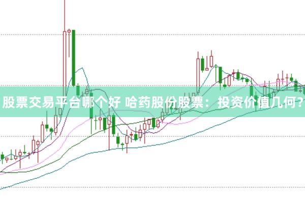 股票交易平台哪个好 哈药股份股票：投资价值几何？