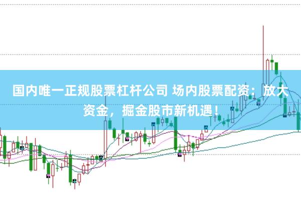 国内唯一正规股票杠杆公司 场内股票配资：放大资金，掘金股市新机遇！