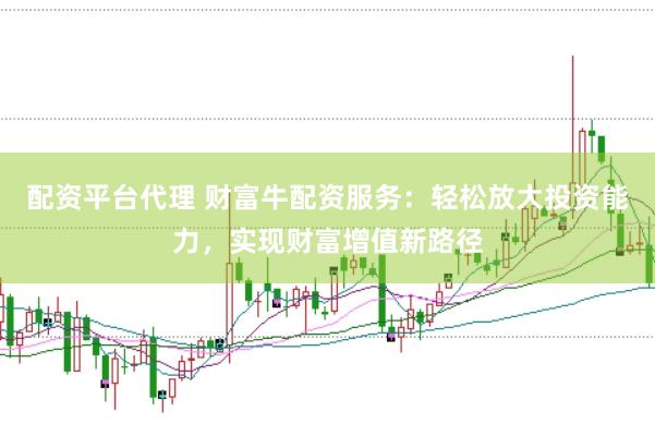 配资平台代理 财富牛配资服务：轻松放大投资能力，实现财富增值新路径