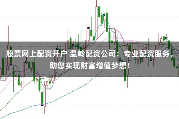 股票网上配资开户 温岭配资公司：专业配资服务，助您实现财富增值梦想！