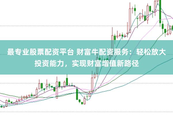 最专业股票配资平台 财富牛配资服务：轻松放大投资能力，实现财富增值新路径