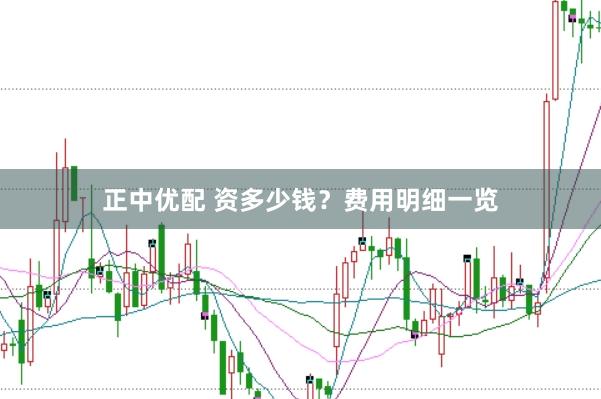 正中优配 资多少钱？费用明细一览
