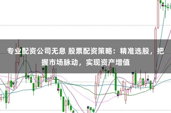 专业配资公司无息 股票配资策略：精准选股，把握市场脉动，实现资产增值