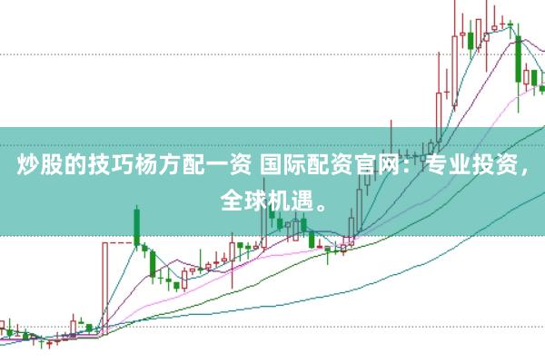 炒股的技巧杨方配一资 国际配资官网：专业投资，全球机遇。