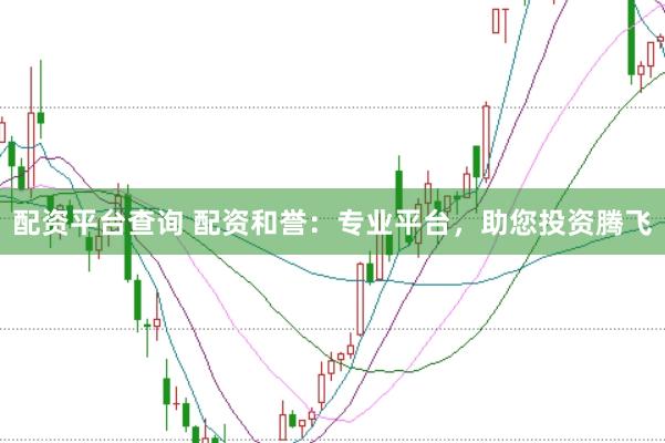 配资平台查询 配资和誉：专业平台，助您投资腾飞