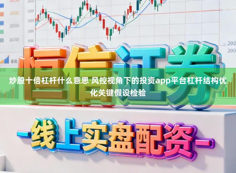 炒股十倍杠杆什么意思 风控视角下的投资app平台杠杆结构优化关键假设检验