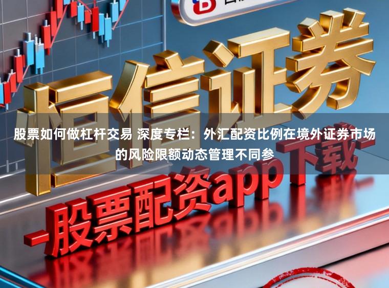 股票如何做杠杆交易 深度专栏：外汇配资比例在境外证券市场的风险限额动态管理不同参
