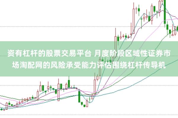 资有杠杆的股票交易平台 月度阶段区域性证券市场淘配网的风险承受能力评估围绕杠杆传导机
